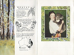 2000 - Australie 111-b